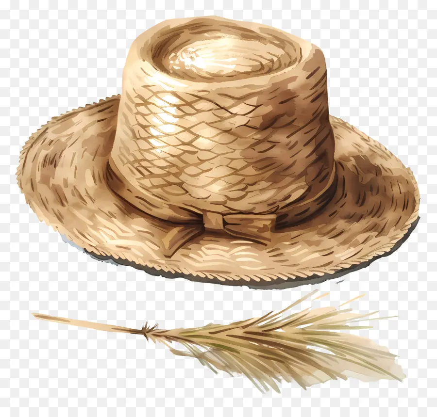 Sombrero De Paja，Pluma PNG