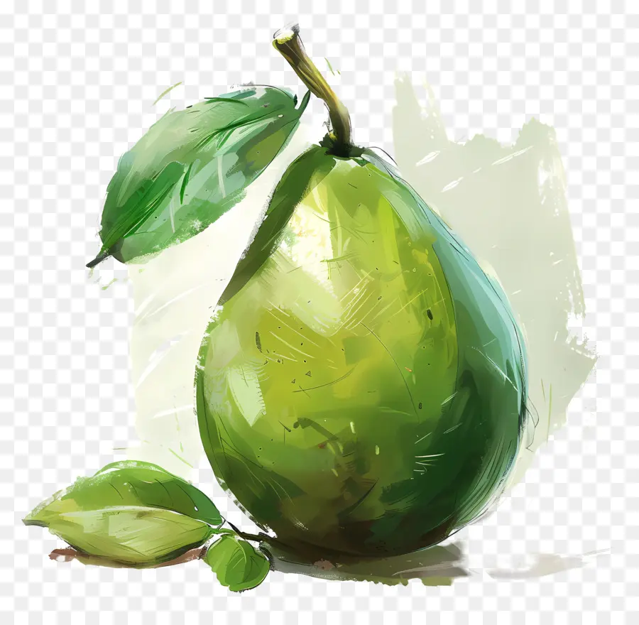 Aguacate，Pintura A La Acuarela PNG