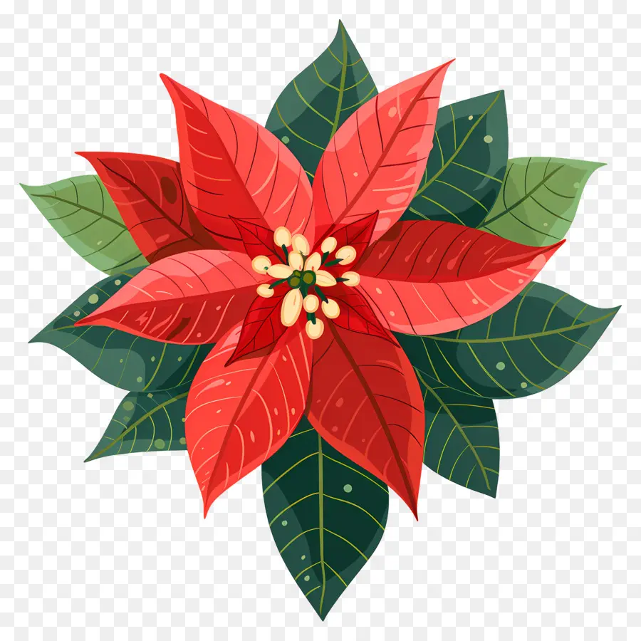 Navidad De Flor，La Flor De Pascua PNG