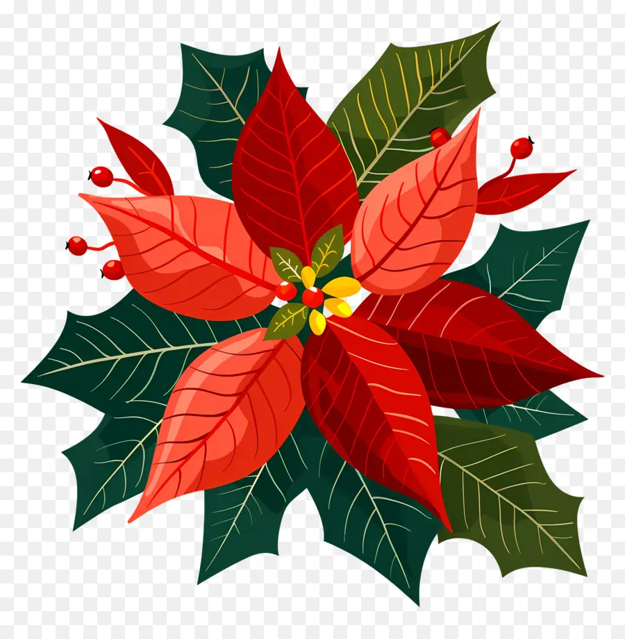 Navidad De Flor，Playa PNG