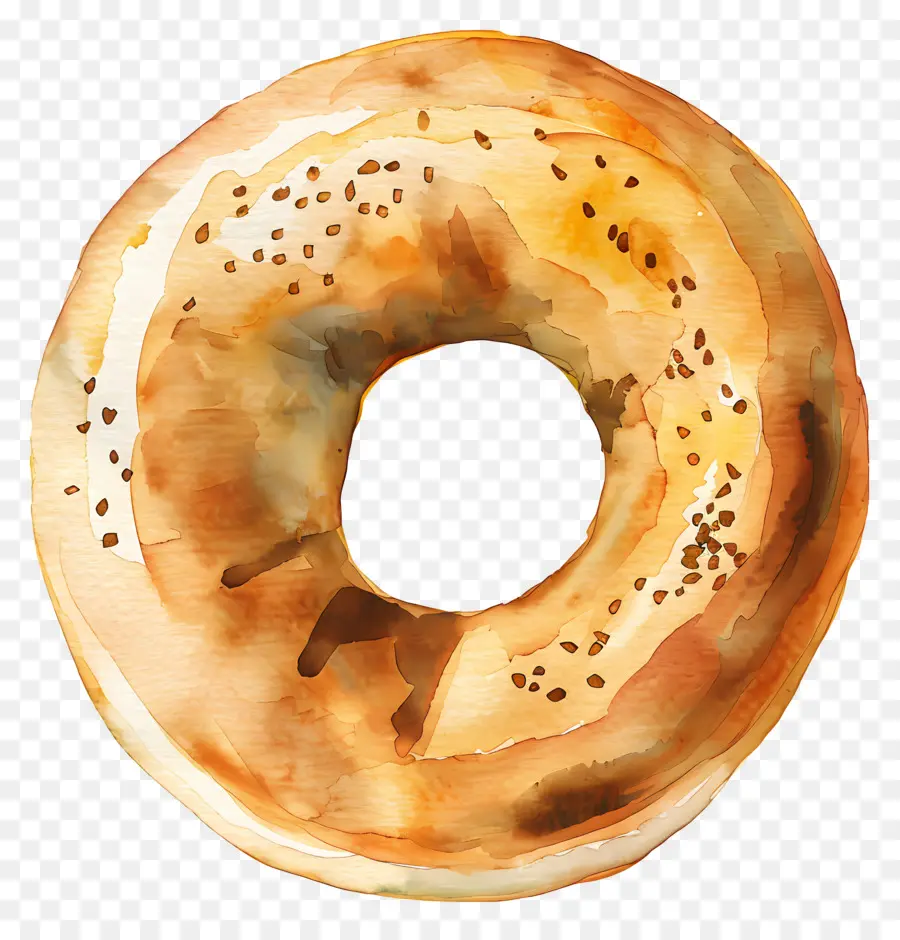 Bagel，Donut PNG