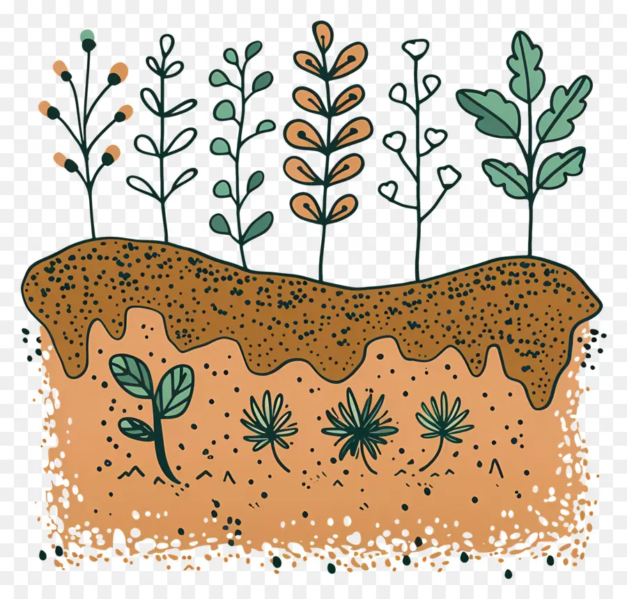 Plantas，Hojas PNG