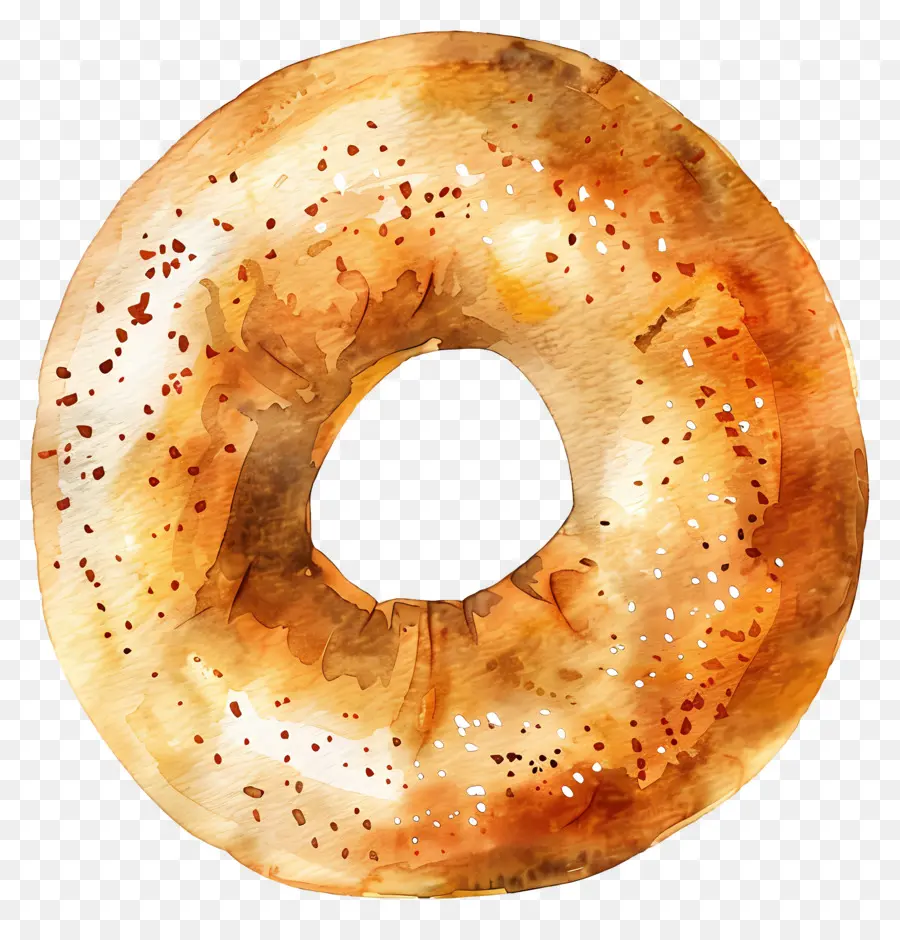 Bagel，Acuarela PNG