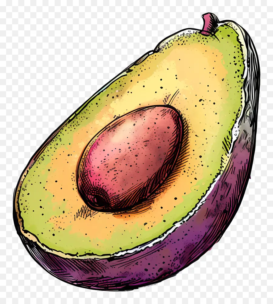 Aguacate，La Semilla PNG