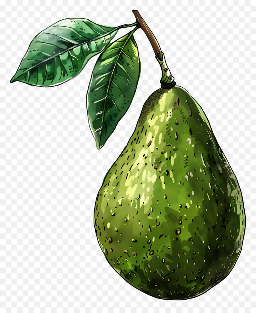 Aguacate，Pera Verde PNG