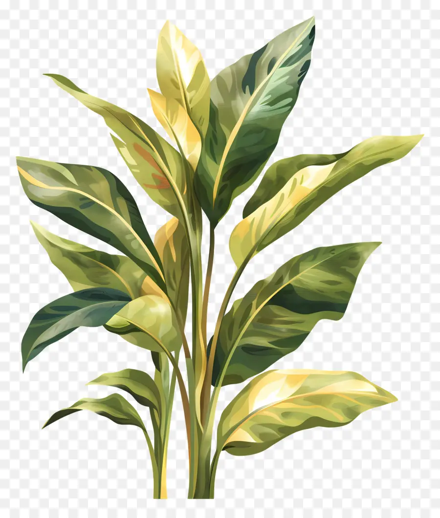 Plantas Interiores，Pintura De Hoja Dorada PNG