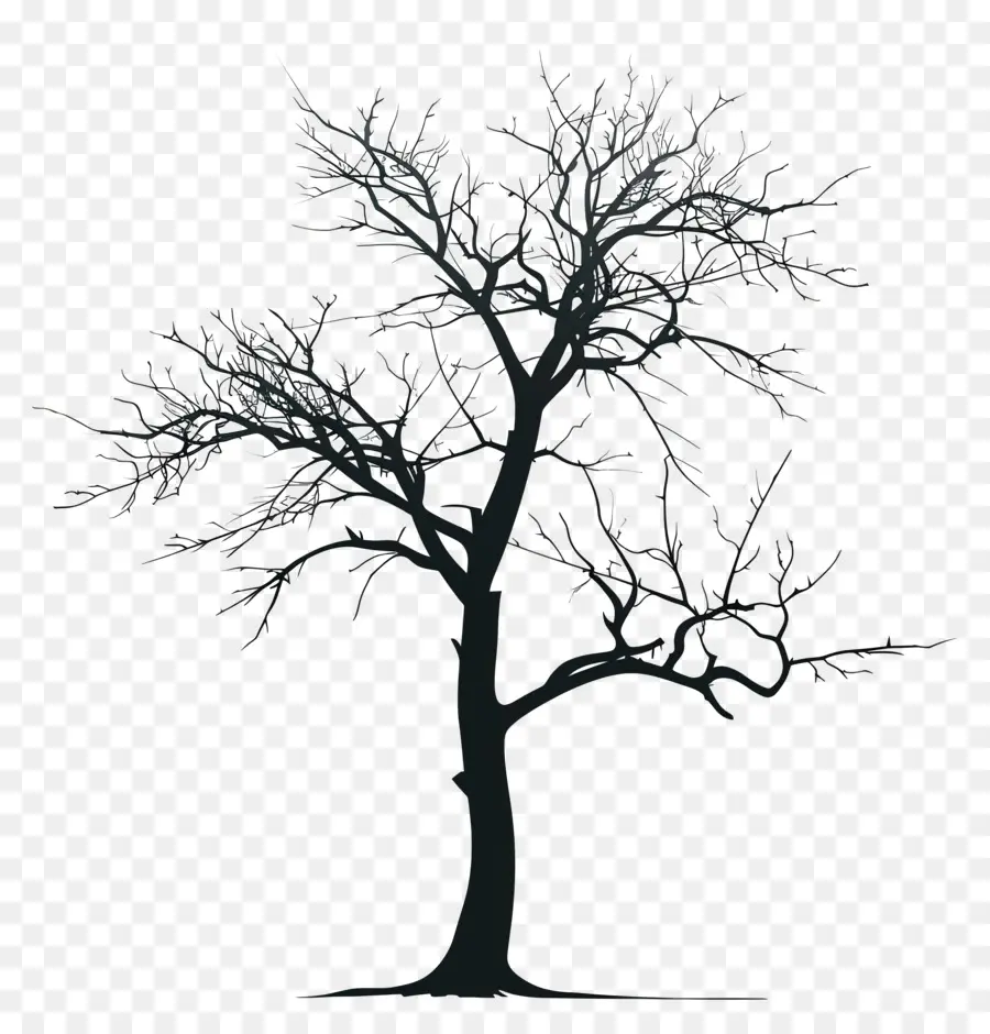 Silueta De árbol，Desnudo árbol PNG