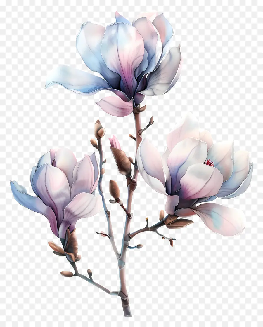 Pastel De Flor，Flower Painting PNG