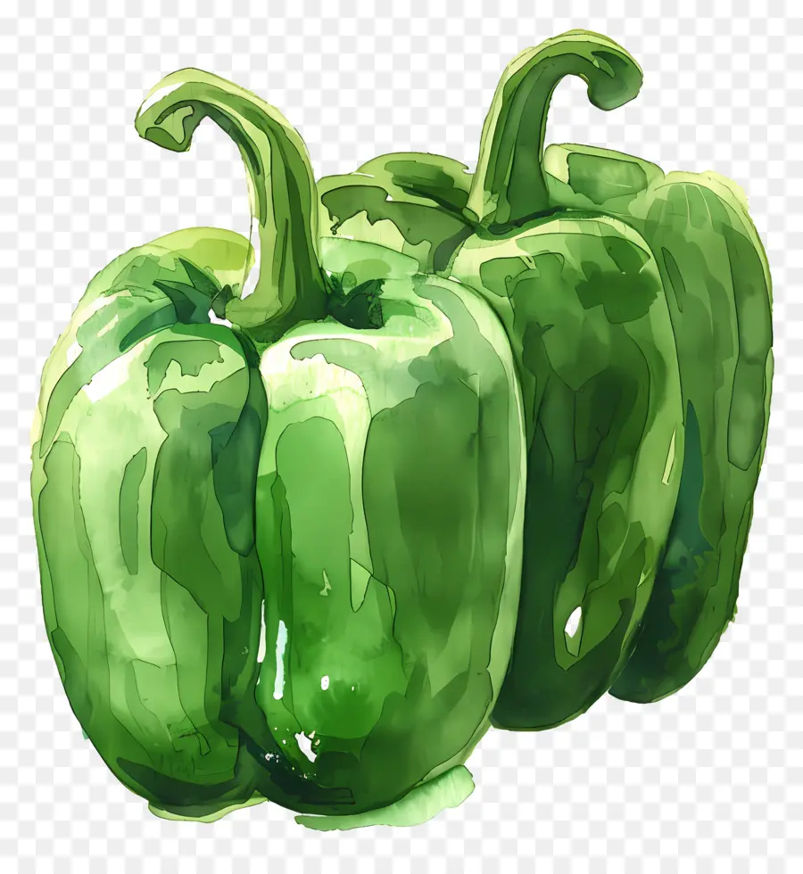 Bell Peppers，Pimientos De Campanas Verdes PNG