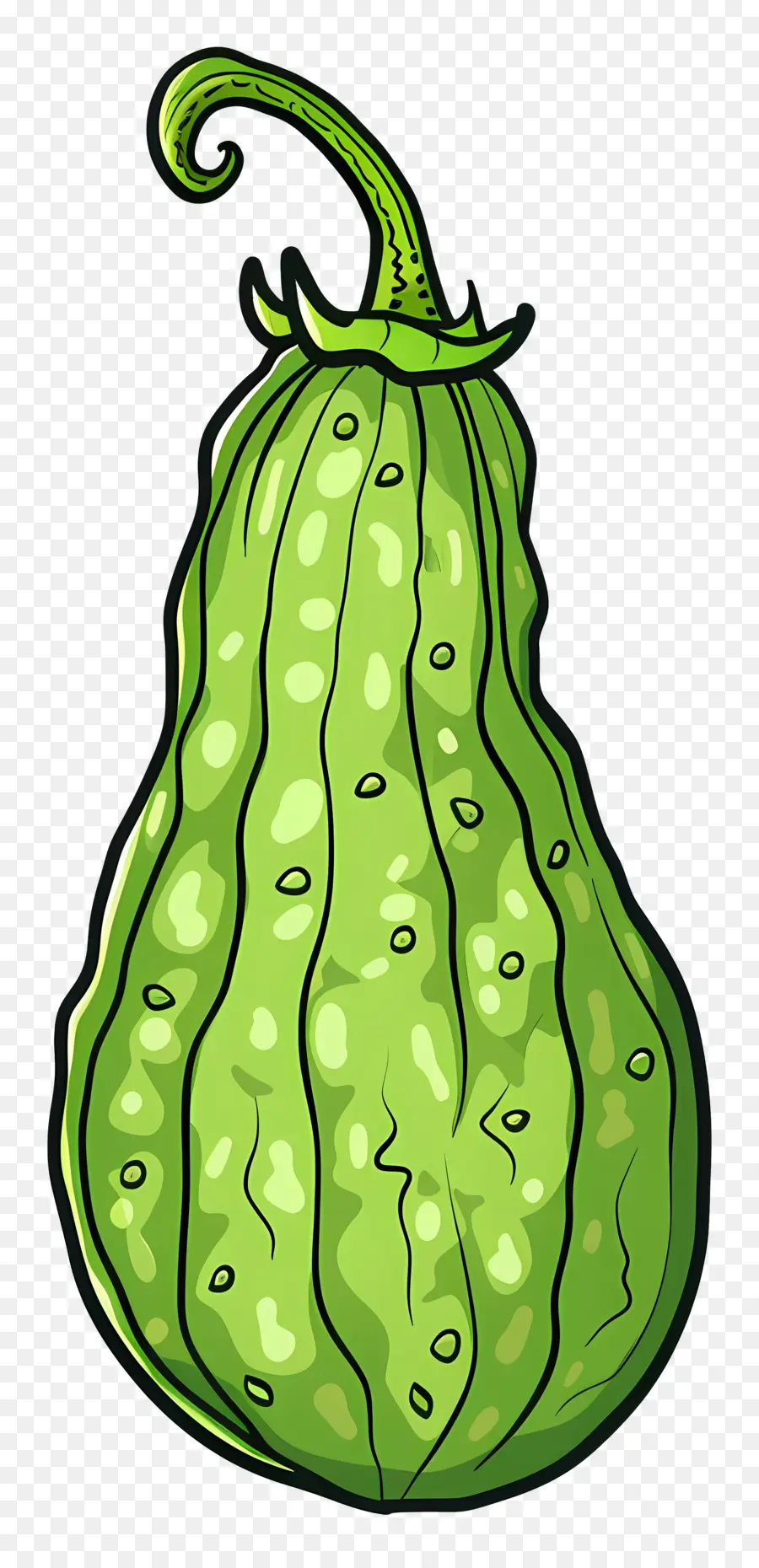 Melón Amargo，Verde PNG