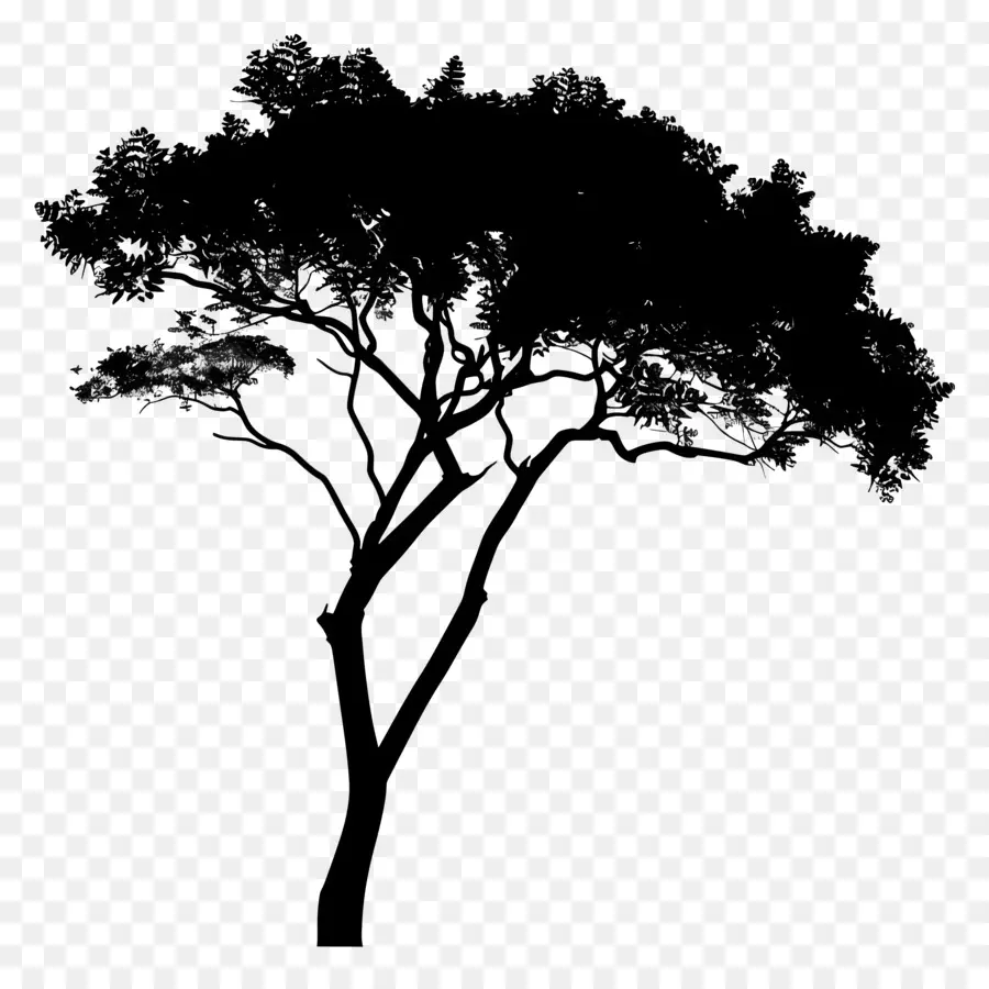 Silueta De árbol，Árbol PNG