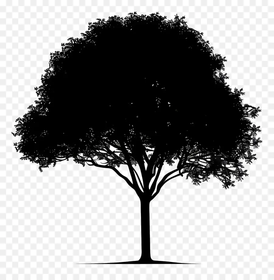 Silueta De árbol，Oscuro árbol PNG