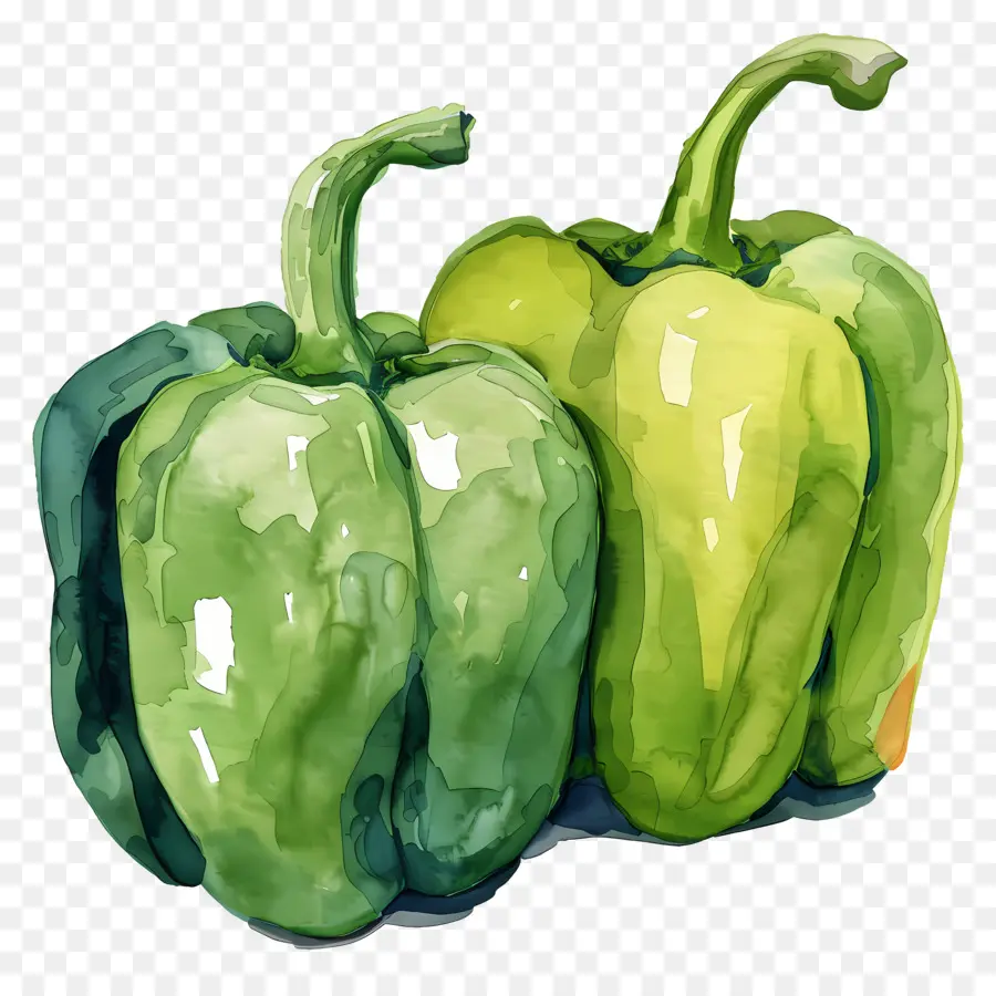 Bell Peppers，Pintura De Pimientos Verdes PNG