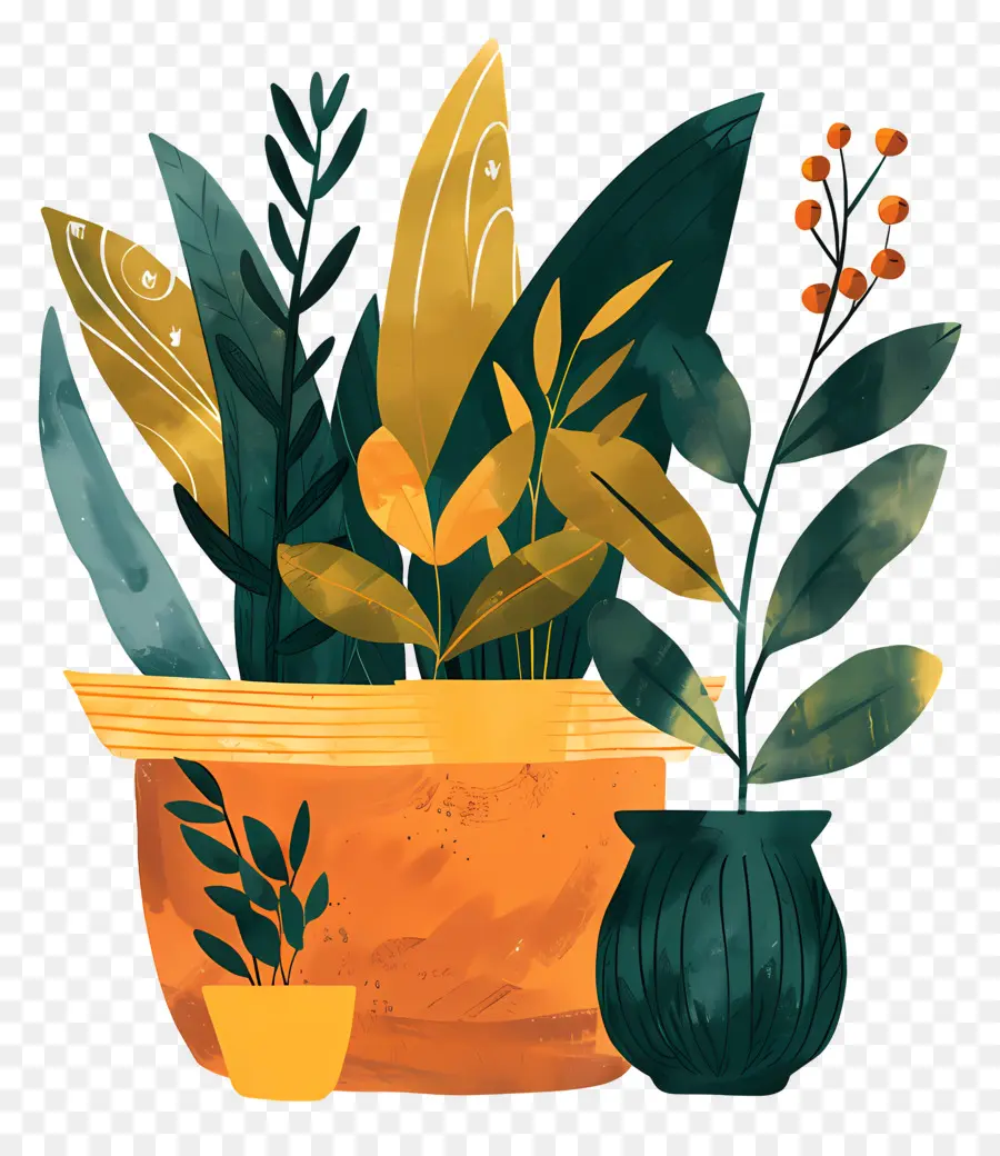 Plantas Interiores，Las Plantas En Macetas PNG