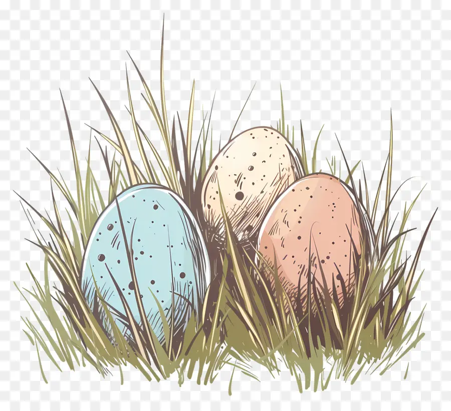 Huevos En La Hierba，Los Huevos De Pascua PNG