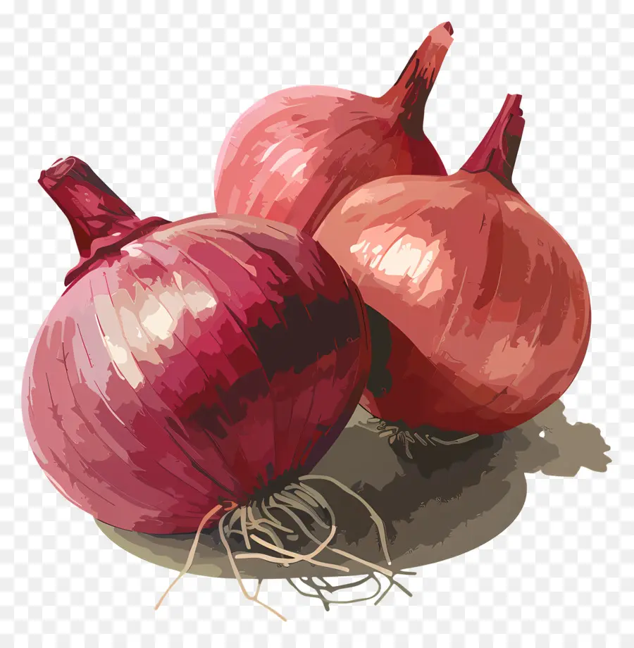 Cebollas，Cebolla Roja PNG