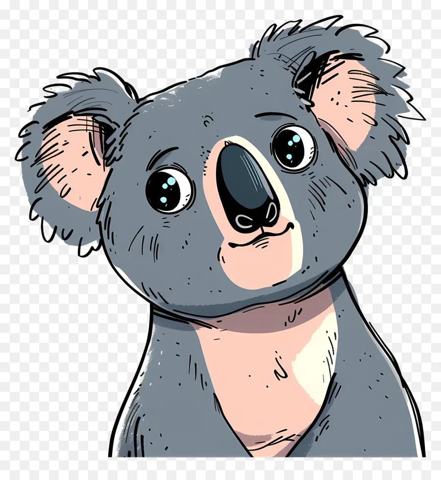 Koala，Koala Bear PNG