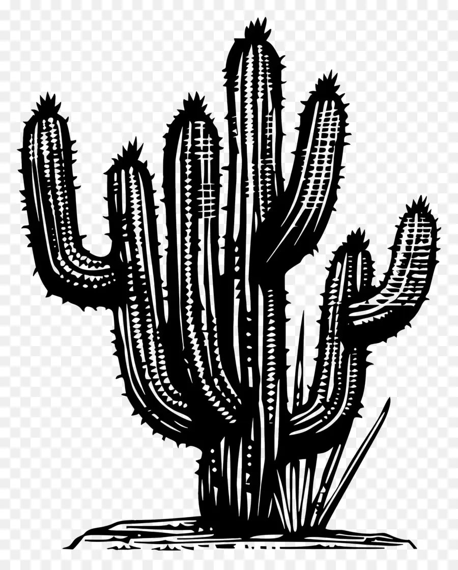 Cactus De Linocut，Cactus PNG