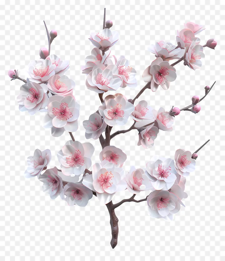 Conde Sakura，De Los Cerezos En Flor PNG