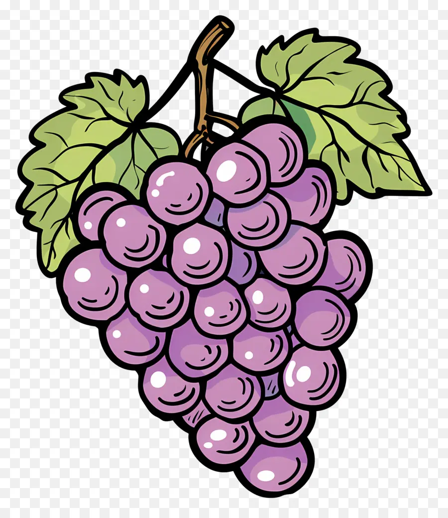 Uvas，Enredadera PNG