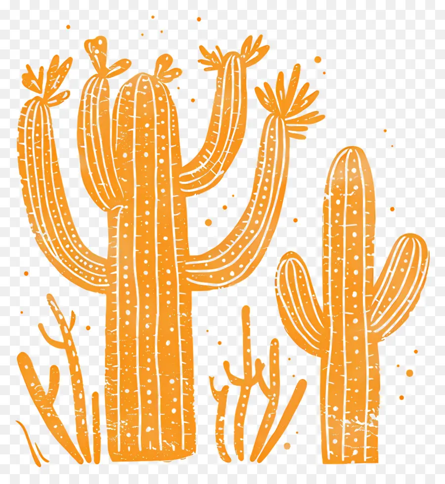 Cactus，Desierto PNG