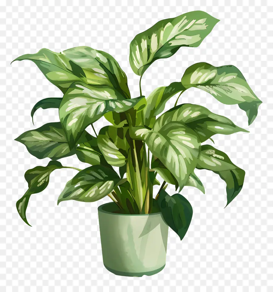 Plantas Interiores，Planta Verde PNG