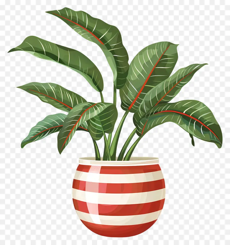 Planta Tropical，Jarrón Rojo Y Blanco PNG