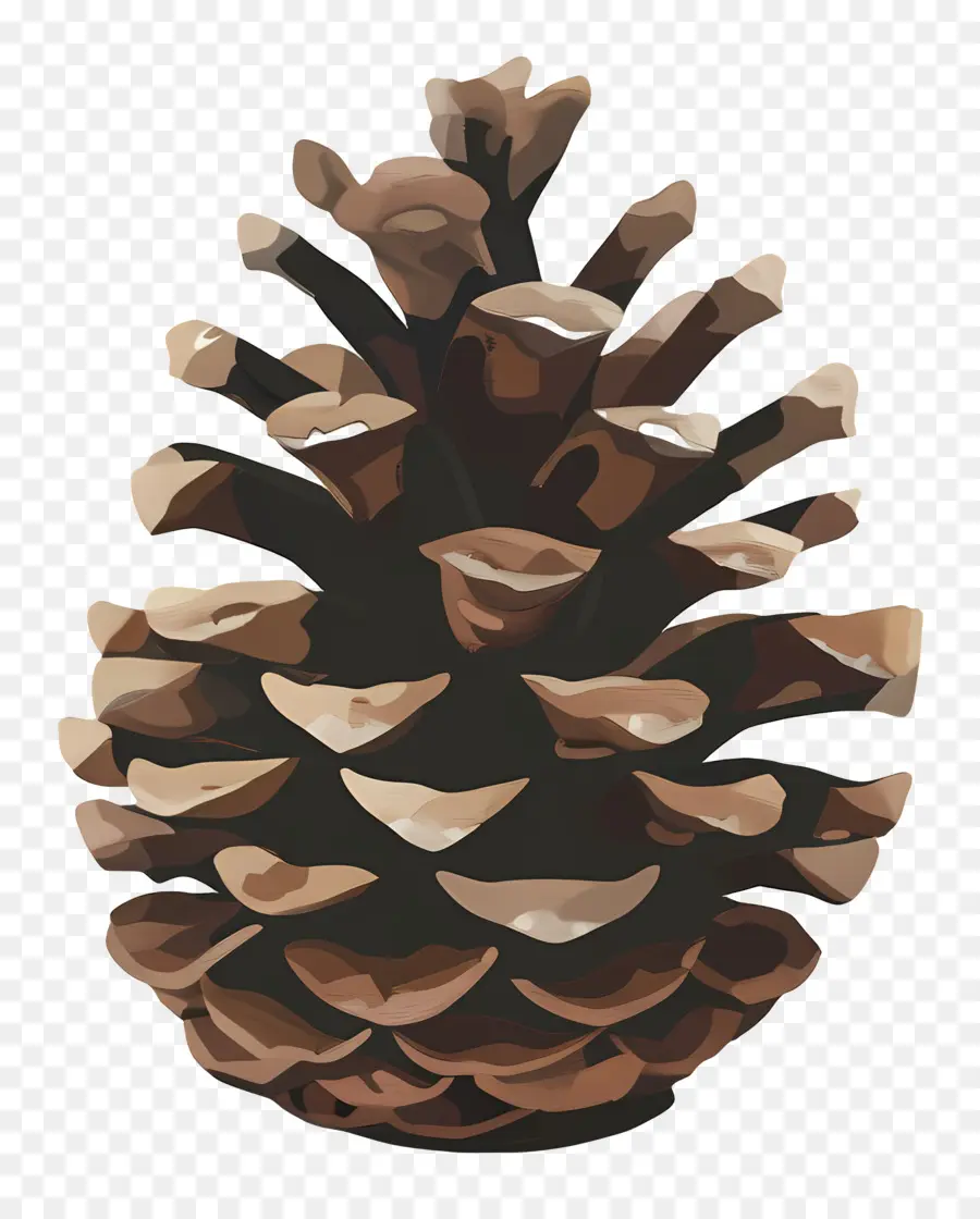 Piña Hawaiana，Piña De Pino PNG