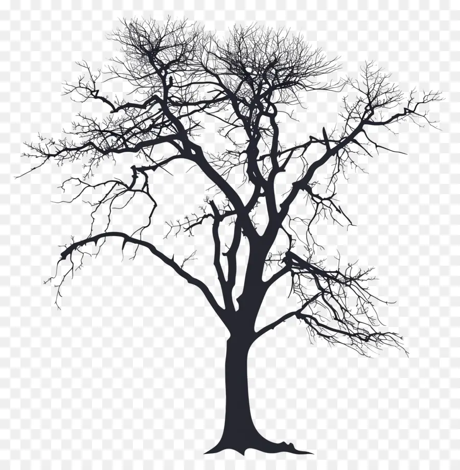 Silueta De árbol，Árbol PNG