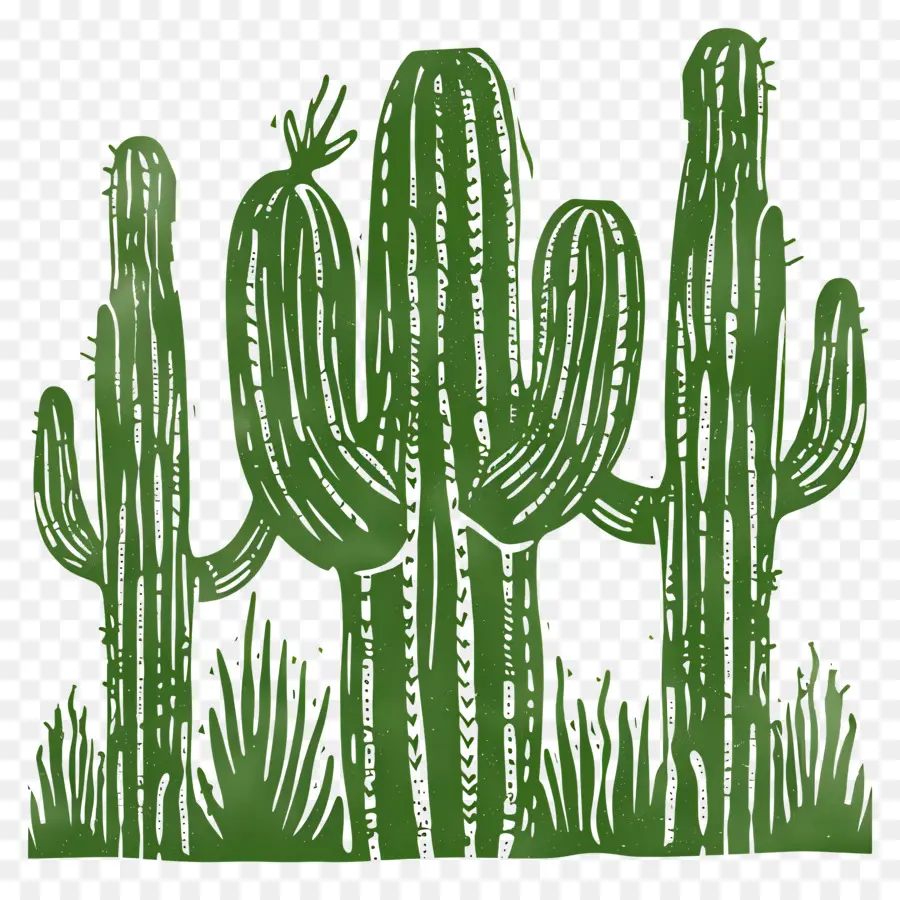 Cactus De Linocut，Cactus PNG