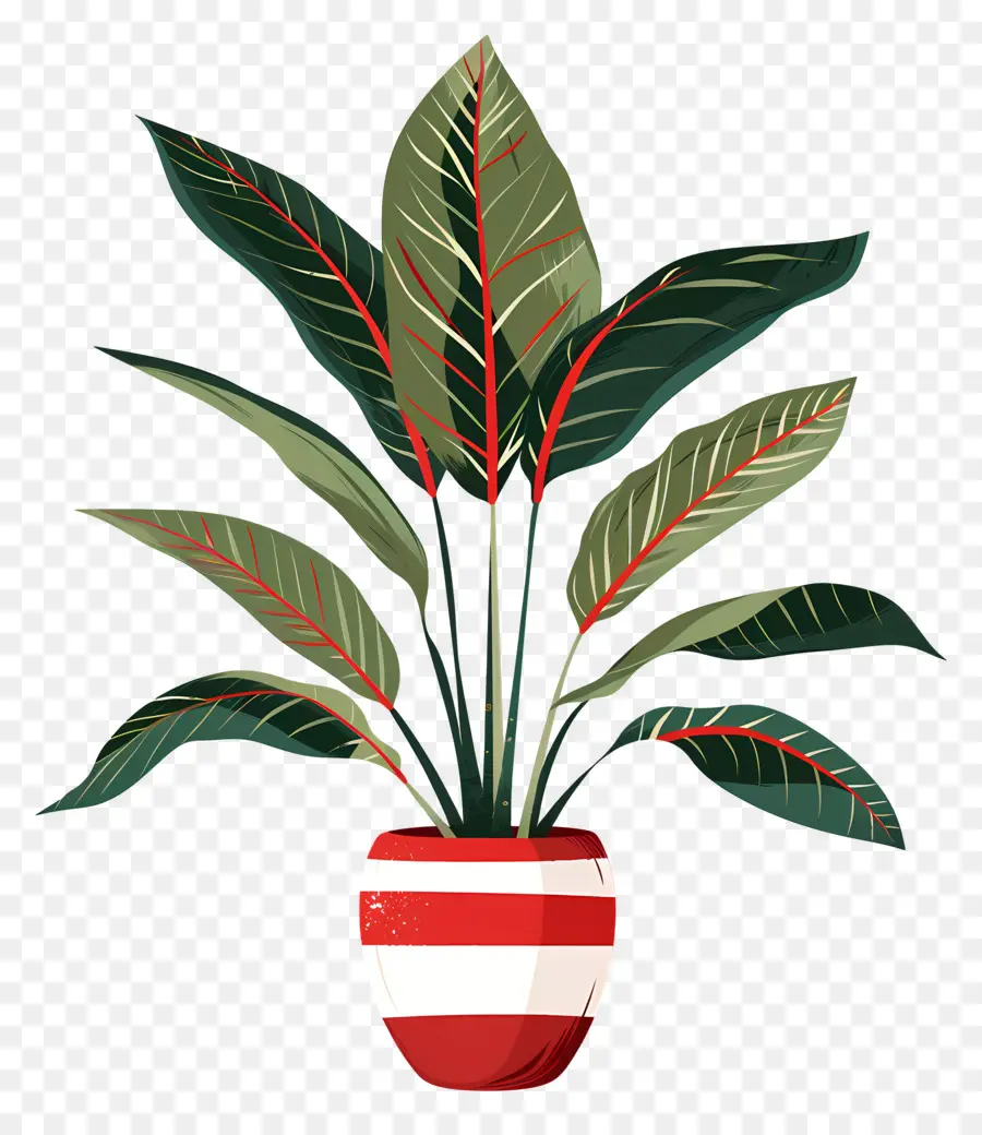 Planta Tropical，Planta En Maceta PNG