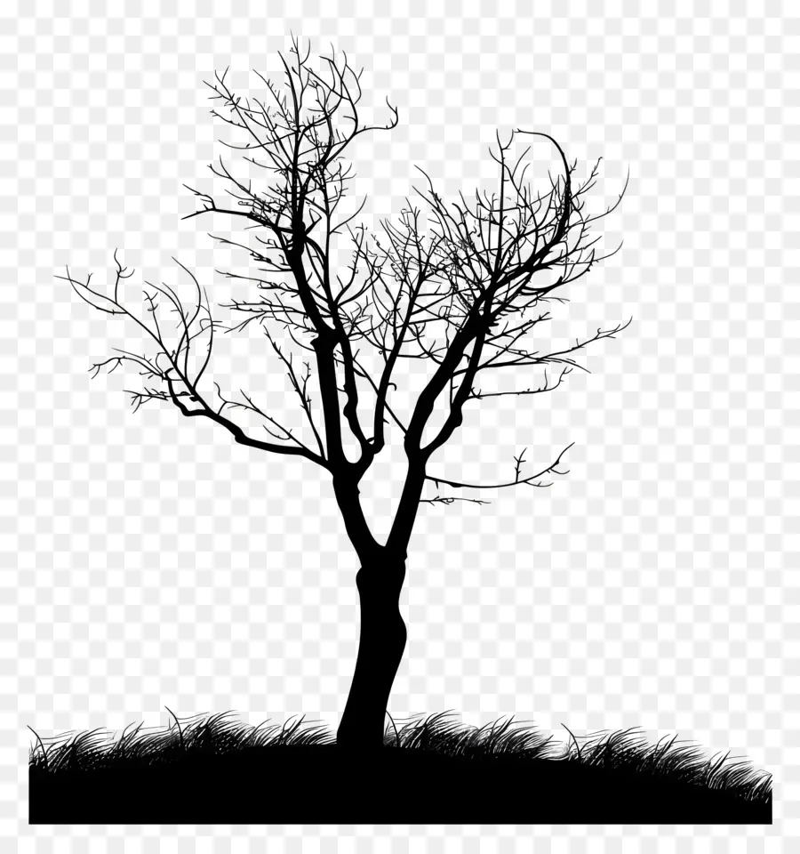 Silueta De árbol，árbol Negro PNG