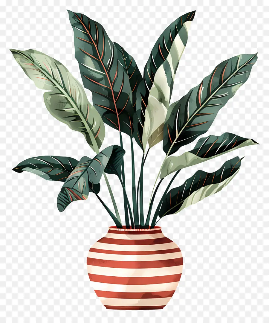 Planta Tropical，Planta En Maceta PNG