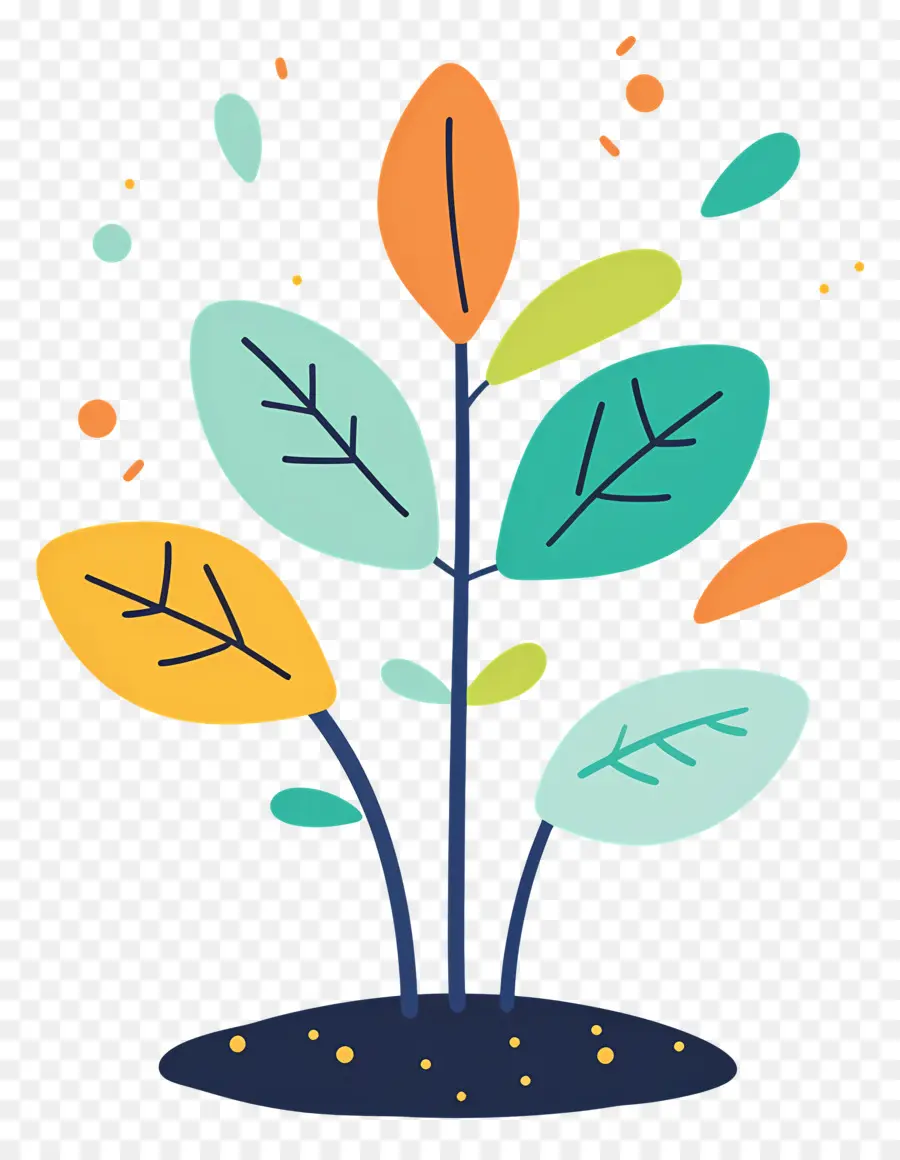 El Crecimiento De Las Plantas，Árbol PNG