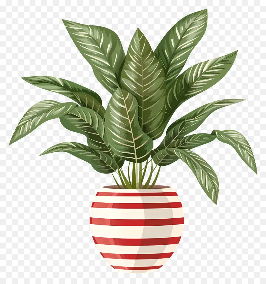 Planta Tropical，Planta En Maceta PNG