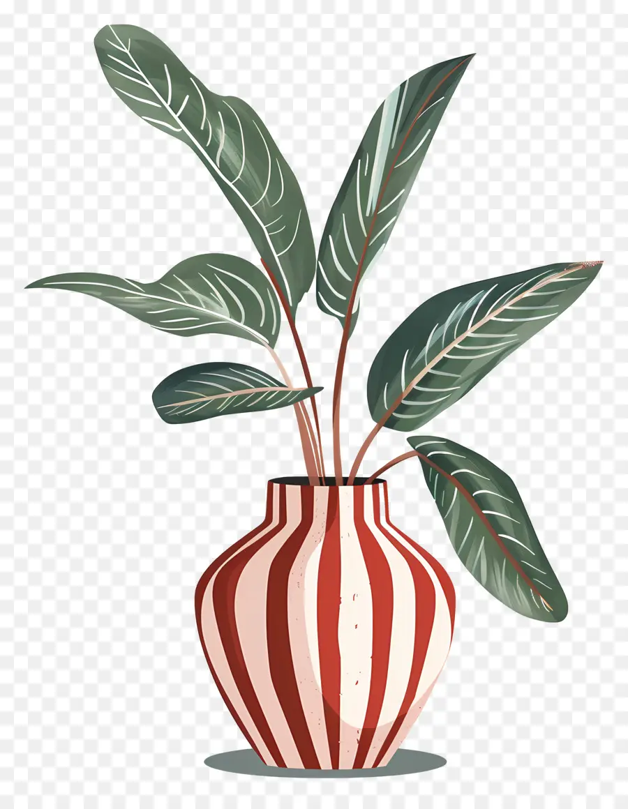 Planta Tropical，Florero PNG