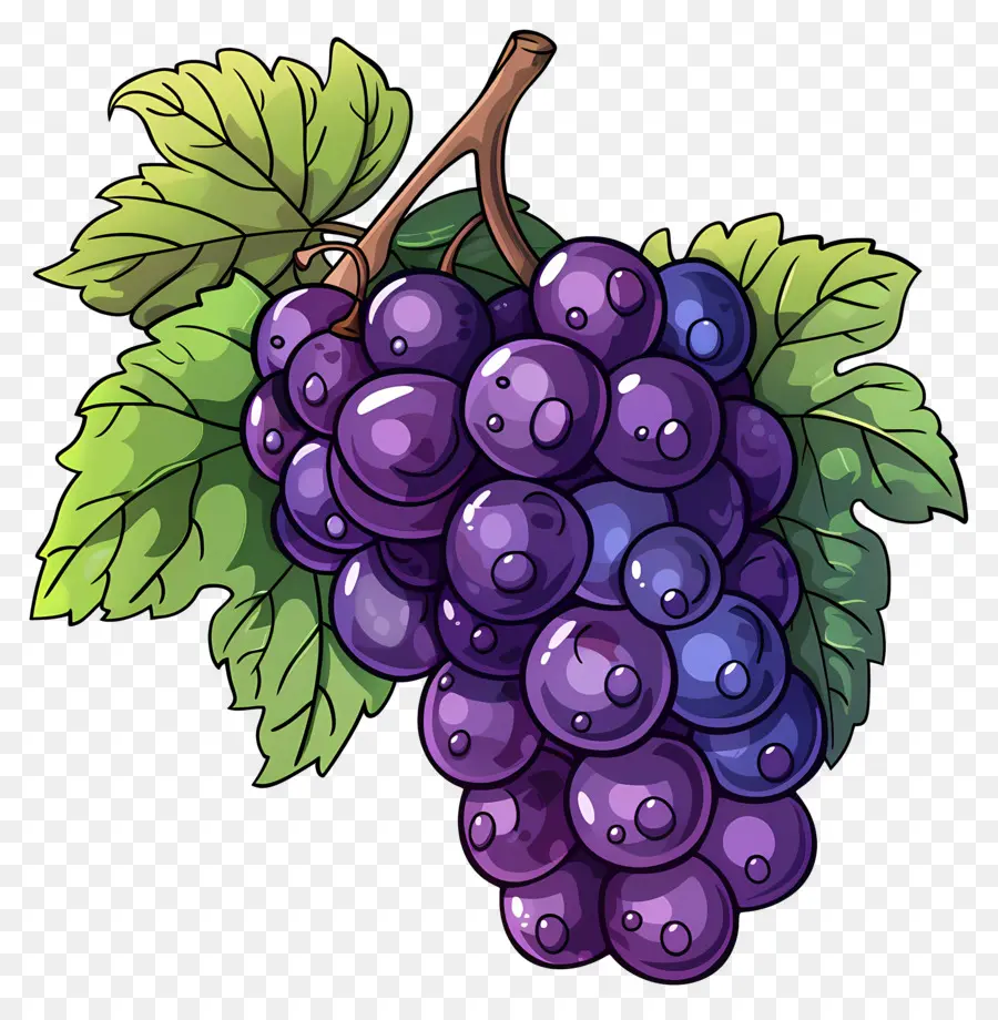 Las Uvas，Morado PNG