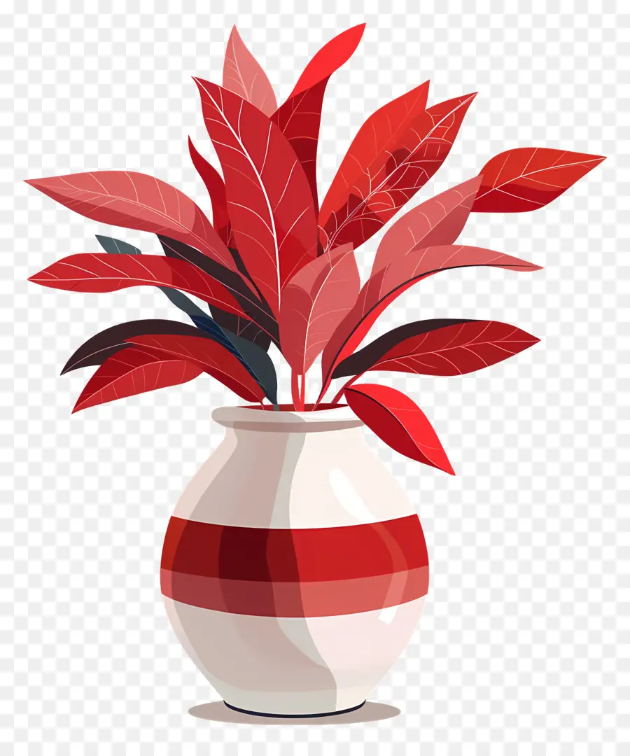 Nolina，Rojo Florero PNG