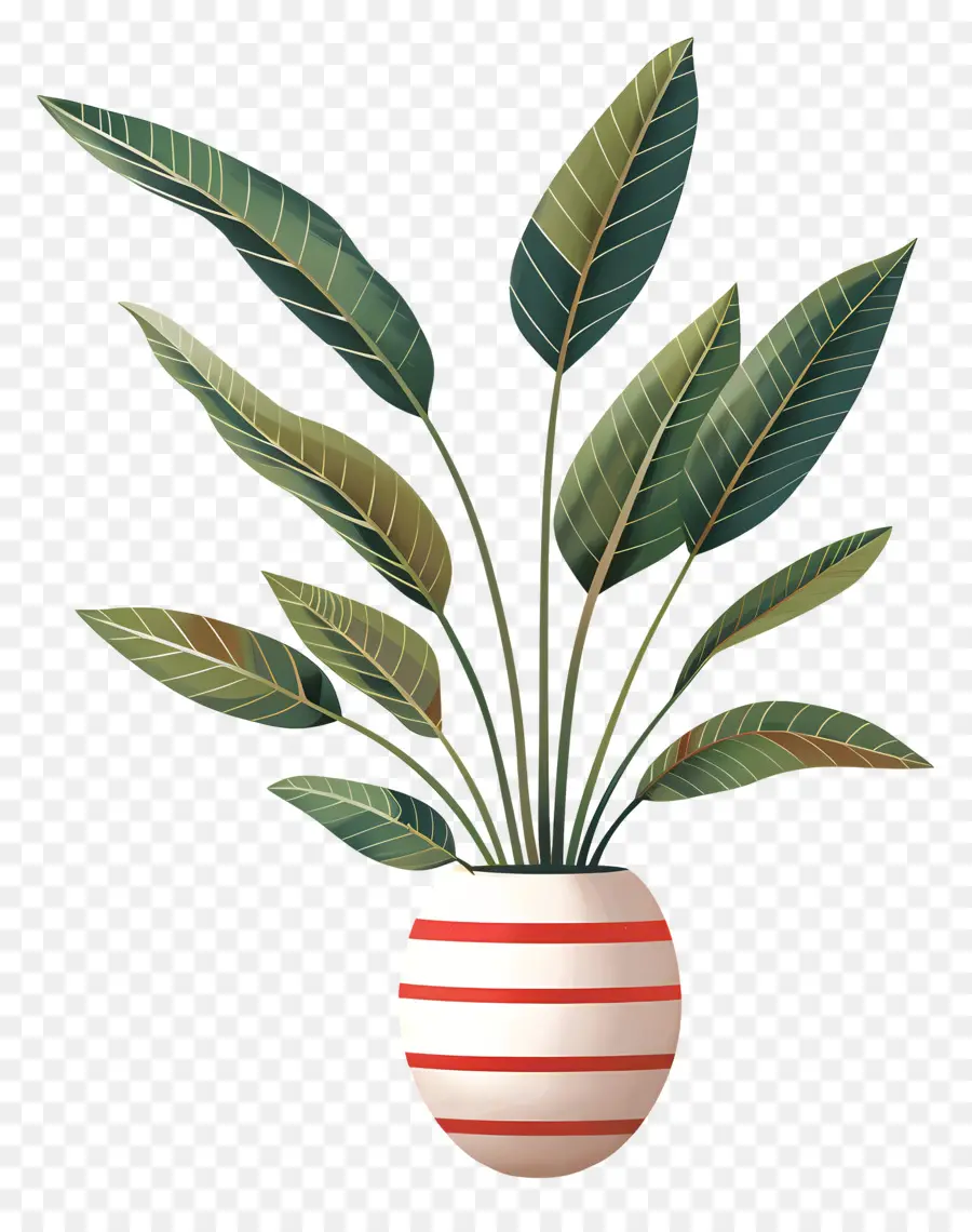 Planta Tropical，Planta De Interior PNG