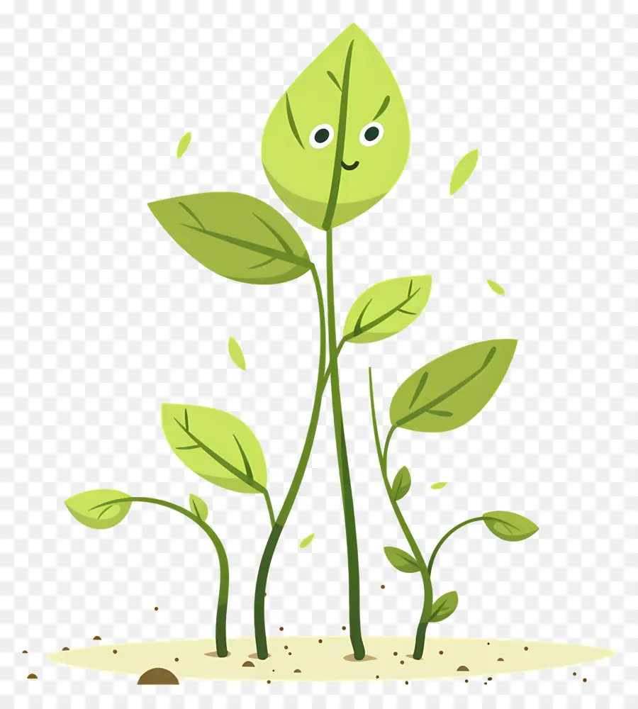 Planta Feliz，Hojas PNG