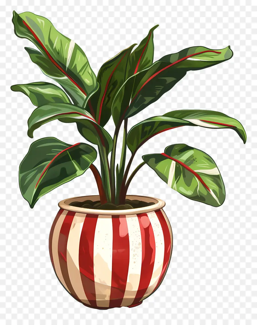 Planta Tropical，Colgando De La Planta PNG