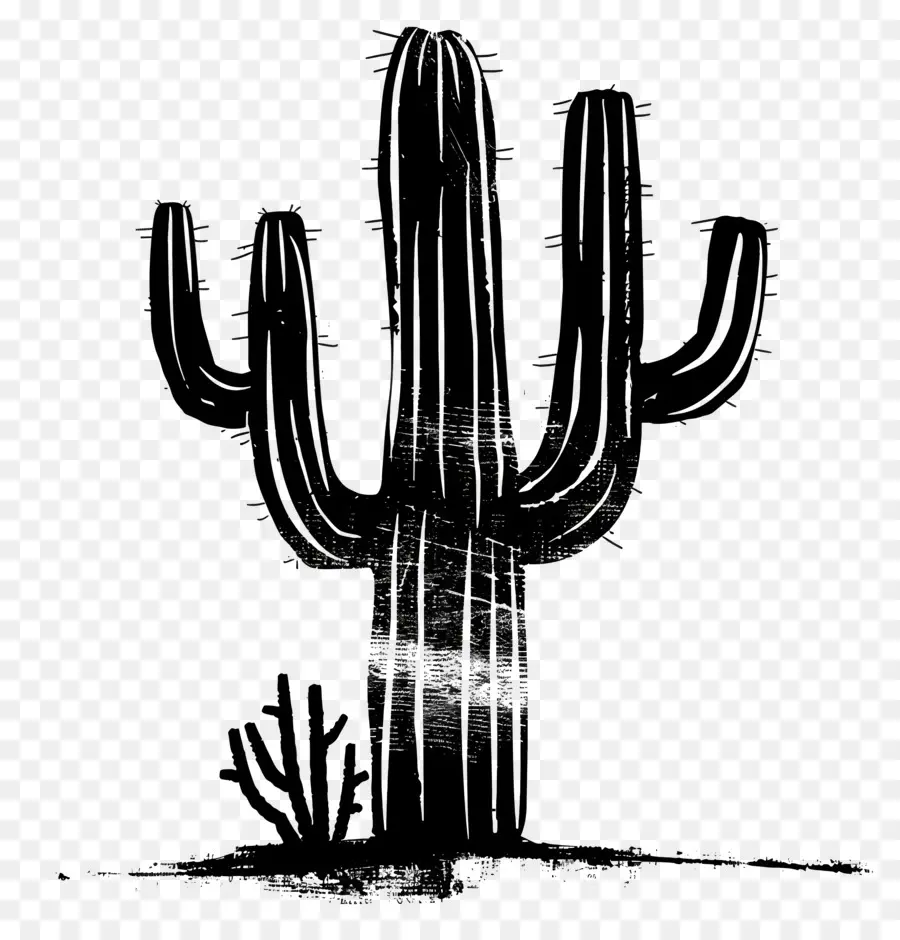 Saguaro Cactus Silueta，Cactus PNG