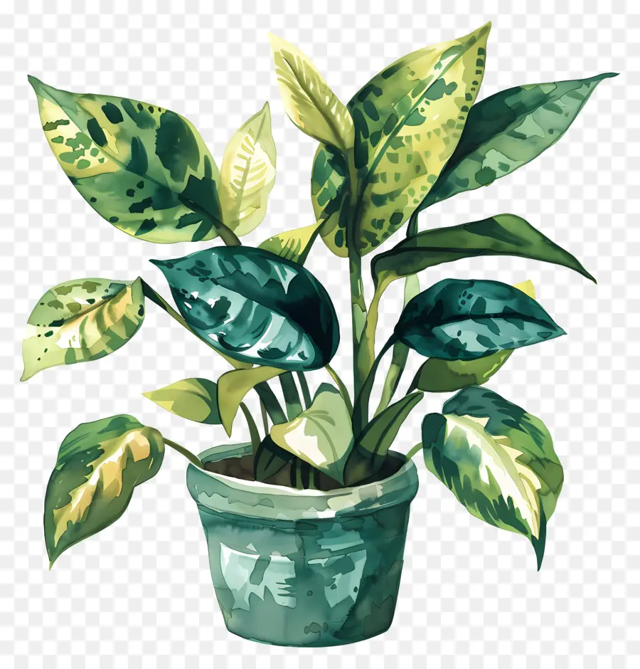 Plantas Interiores，Hojas Verdes PNG