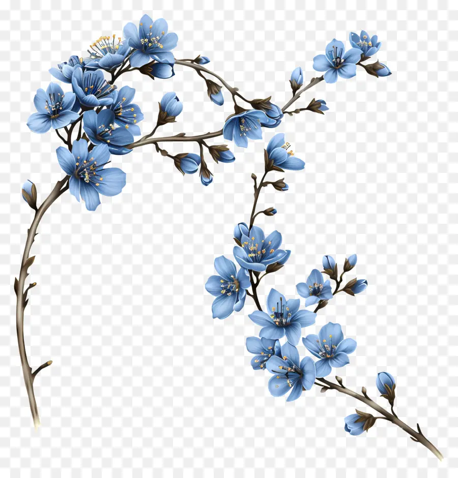 La Flor De La Esquina，Flor Azul PNG