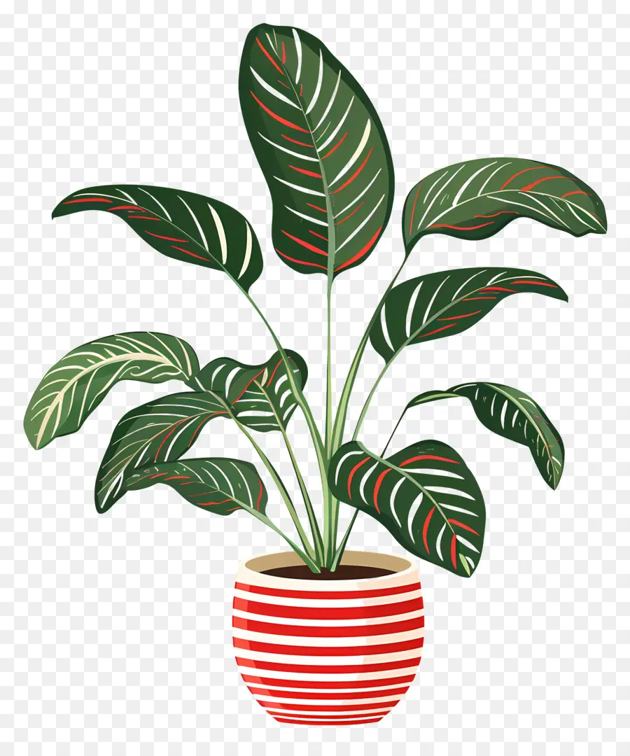 Planta Tropical，Planta En Maceta PNG