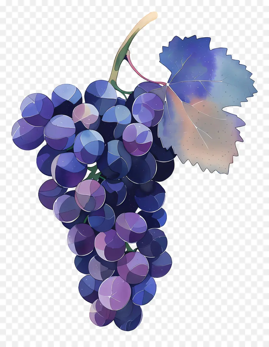 Racimo De Uvas，Las Uvas PNG