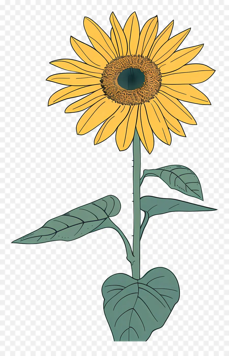 Girasol，Brillante PNG