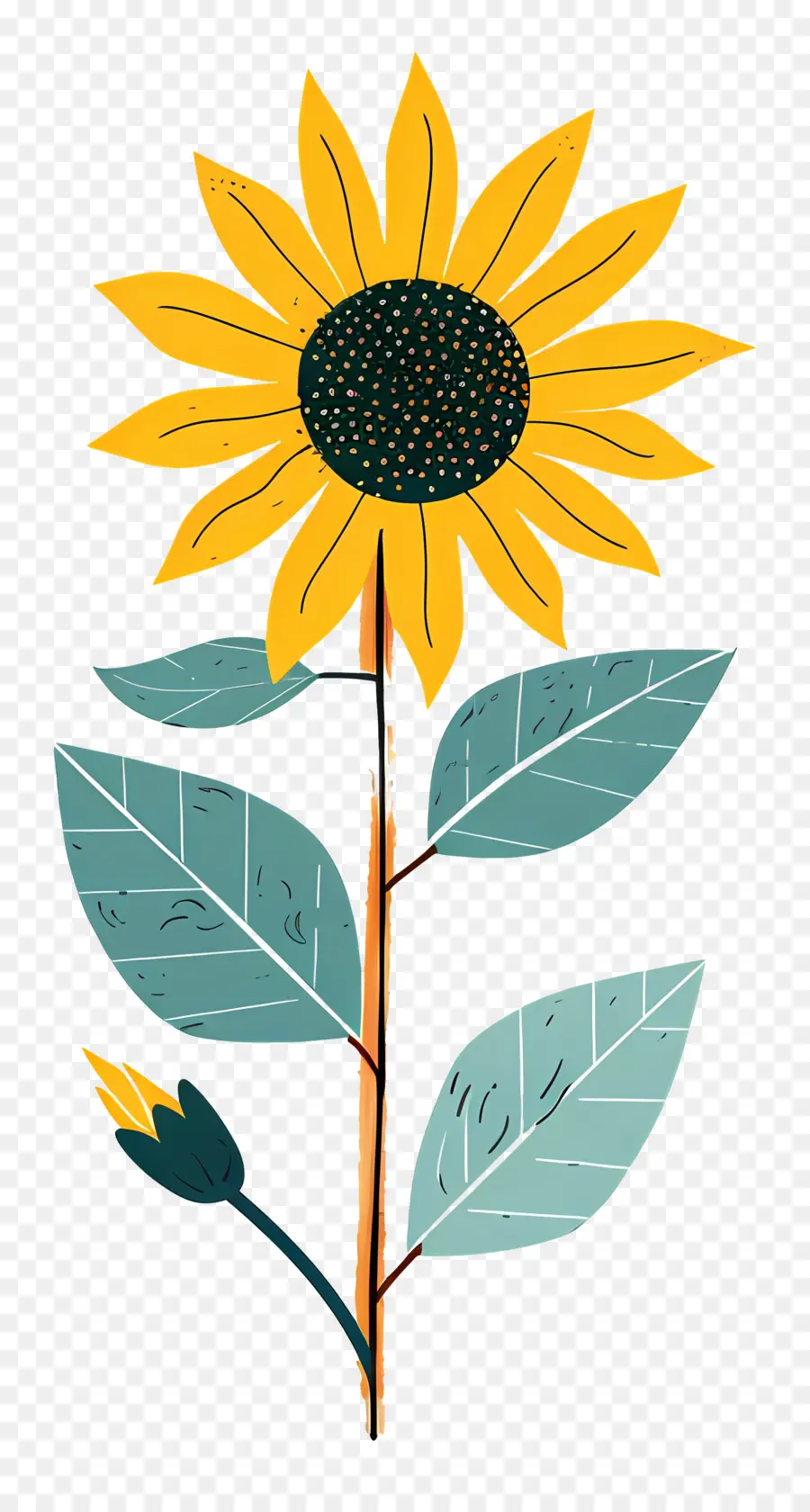 Girasol，Pétalos Amarillo PNG