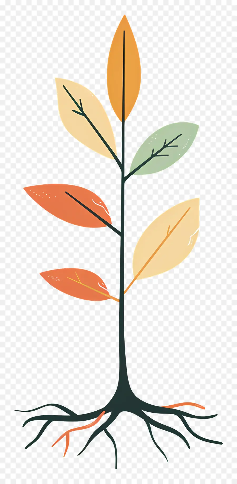 Plántula，Árbol PNG