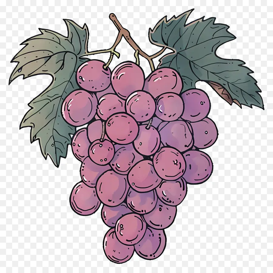 Racimo De Uvas，Las Uvas PNG